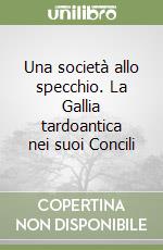 Una società allo specchio. La Gallia tardoantica nei suoi Concili