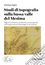 Studi di topografia sulla bassa valle del Mesima. Saggi tra protostoria e tardoantico con uno sguardo sulle trasformazioni del paesaggio in età moderna libro