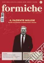 Formiche (2024). Vol. 204: Il paziente inglese libro