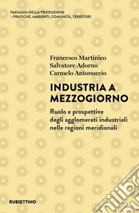 Industria a Mezzogiorno. Ruolo e prospettive degli agglomerati industriali nelle regioni meridionali libro