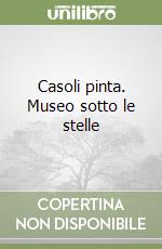 Casoli pinta. Museo sotto le stelle libro