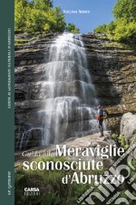 Guida alle meraviglie sconosciute d'Abruzzo libro