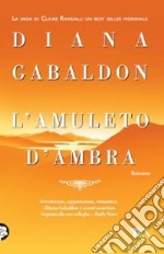 L'amuleto d'ambra libro