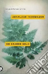 Un grande gelo libro