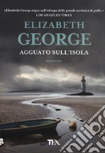 Agguato sull'isola libro