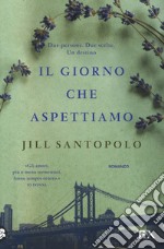 Il giorno che aspettiamo libro