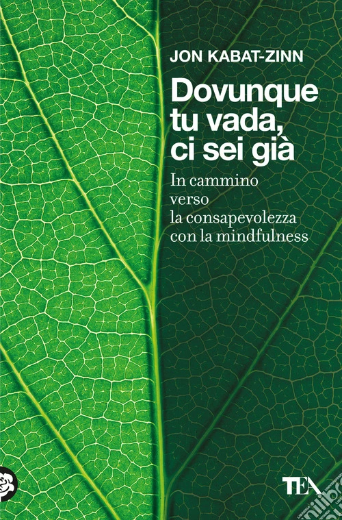 Dovunque tu vada ci sei gi�. In cammino verso la consapevolezza con la mindfulness
