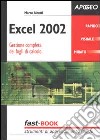 Excel 2002. Gestione completa dei fogli di calcolo libro