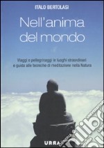 Nell'anima del mondo. Viaggi e pellegrinaggi in luoghi straordinari e guida alle tecniche di meditazione nella natura libro