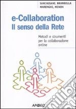 E-collaboration. Il senso della rete. Metodi e strumenti per la collaborazione online libro