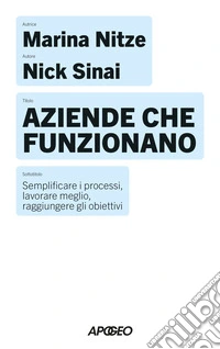 Aziende che funzionano. Semplificare i processi, lavorare meglio, raggiungere gli obiettivi libro