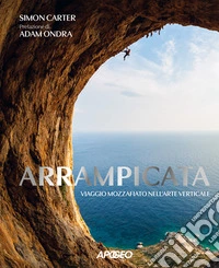 Arrampicata. Viaggio mozzafiato nell'arte verticale. Ediz. illustrata libro