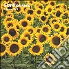 Sunflowers. Calendario 2004 libro