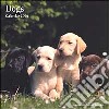 Dogs. Calendario 2004 libro