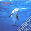 Dolphins. Calendario 2004 libro