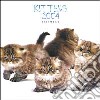 Kittens. Calendario 2004 libro