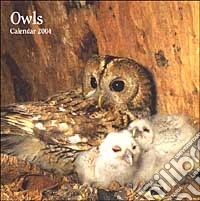 Owls. Calendario 2004