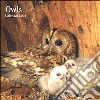 Owls. Calendario 2004 libro