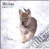 Wolves. Calendario 2004 libro