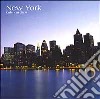 New York. Calendario 2004 libro