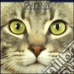 Cats'eyes. Calendario 2005 libro