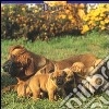 Dogs. Calendario 2005 libro