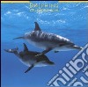 Dolphins. Calendario 2005 libro