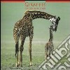 Giraffes. Calendario 2005 libro