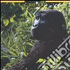 Gorillas. Calendario 2005 libro