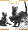 Kittens. Calendario 2005 libro