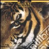 Tigers. Calendario 2005 libro