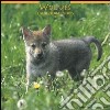 Wolves. Calendario 2005 libro