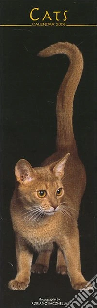 Cats. Calendario 2005 lungo