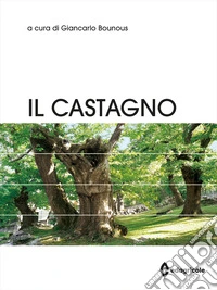Il castagno