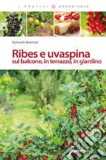 Ribes e uvaspina sul balcone, in terrazzo, in giardino libro