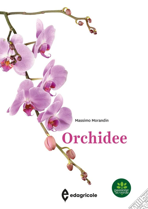 Orchidee
