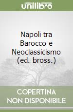 Napoli tra Barocco e Neoclassicismo (ed. bross.) libro