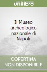 Il Museo archeologico nazionale di Napoli