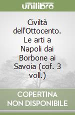 Civiltà dell'Ottocento. Le arti a Napoli dai Borbone ai Savoia (cof. 3 voll.) libro