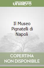 Il Museo Pignatelli di Napoli libro