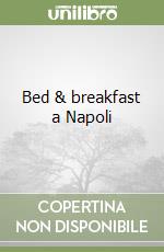 Bed & breakfast a Napoli libro