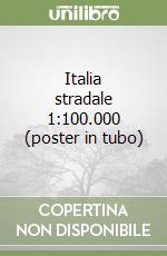 Italia stradale 1:100.000 (poster in tubo) libro