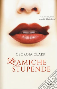 Le amiche stupende libro