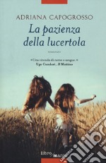 La pazienza della lucertola