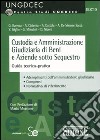 Custodia e amministrazione giudiziaria di beni e aziende sotto sequestro. Guida teorico-pratica libro