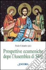 Prospettive ecumeniche dopo l'assemblea di Sibiu libro