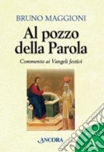 Al pozzo della parola. Commento ai Vangeli festivi. Anno A libro