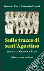 Sulle tracce di Sant'Agostino. A piedi da Genova a Pavia. Guida pratica e spirituale libro