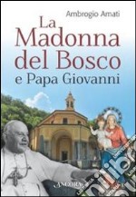 La Madonna del bosco e Papa Giovanni libro