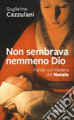 Non sembrava nemmeno Dio. Parole sul mistero del Natale libro